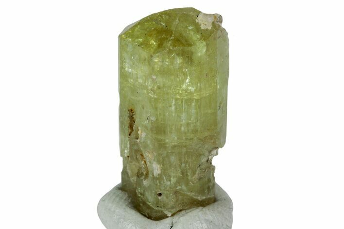 Gemmy, Yellow Apatite Crystal - Morocco #239168